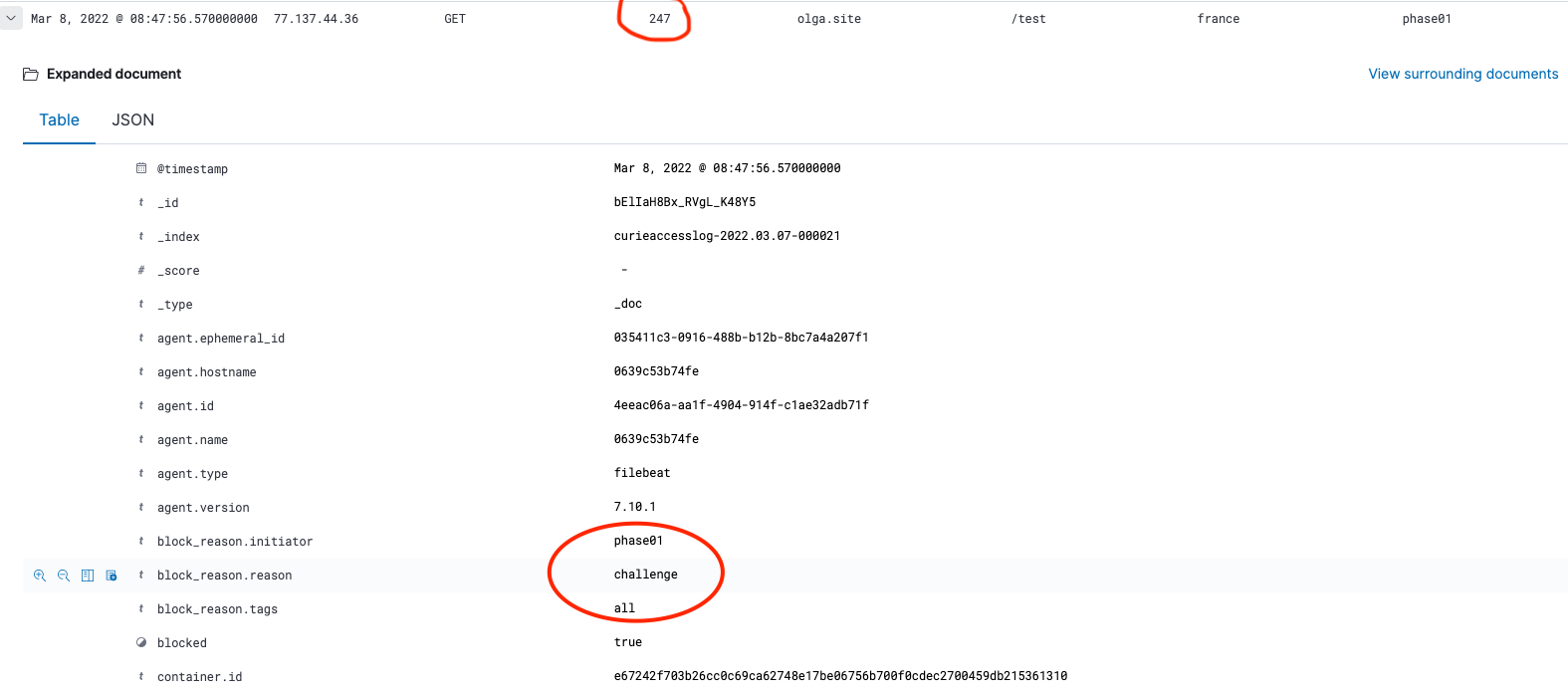 kibana log challenge block