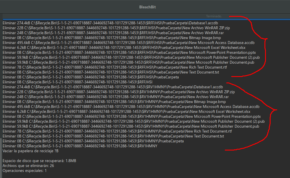 BleachBit still deleting recursively files and folders from Directory