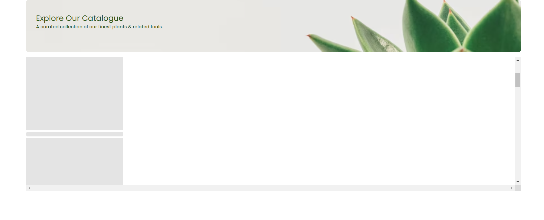 How To Add Horizontal Scrollbar In React at Erick Drew blog