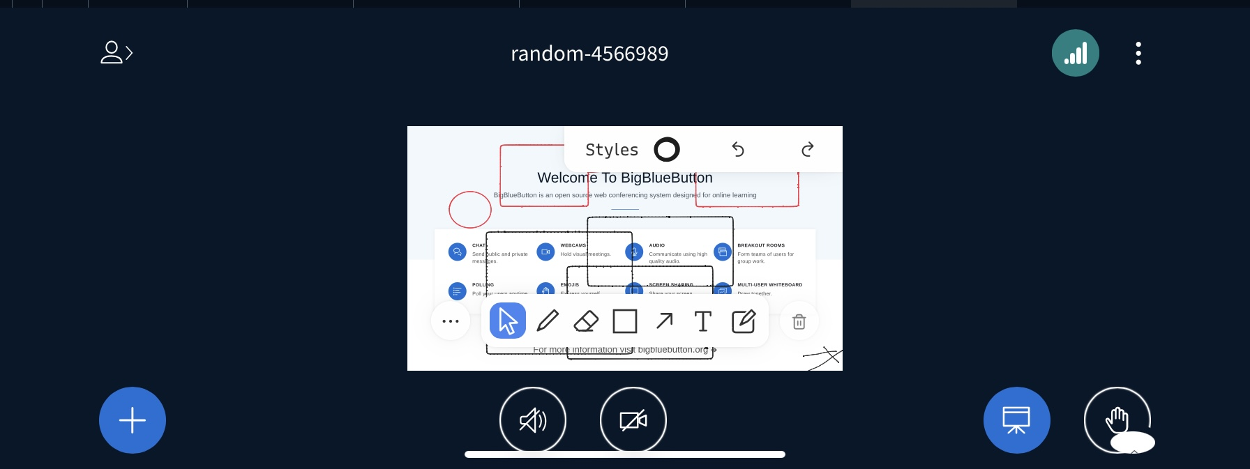 [mobile] Space to see presentation / use whiteboard tools in