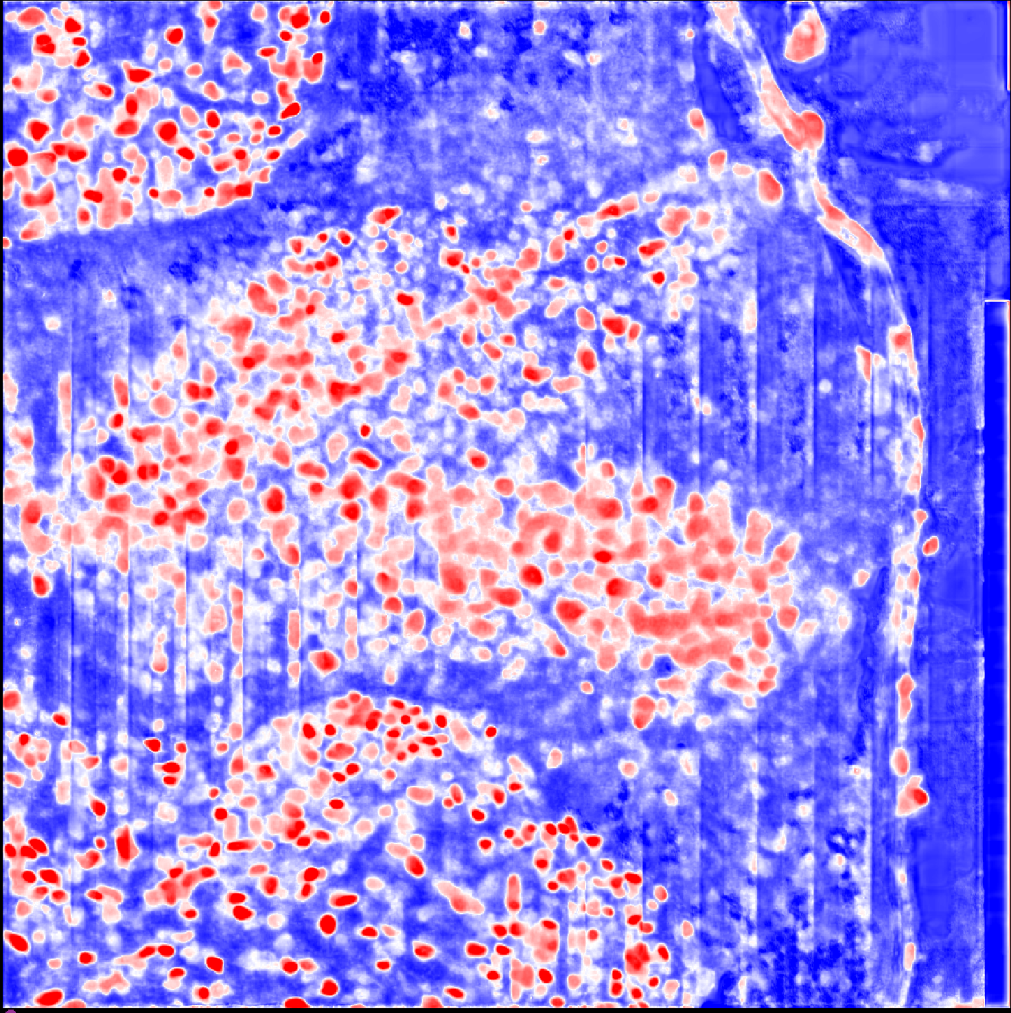 Handling Normalization of Large Images · Issue #608 · MouseLand ...
