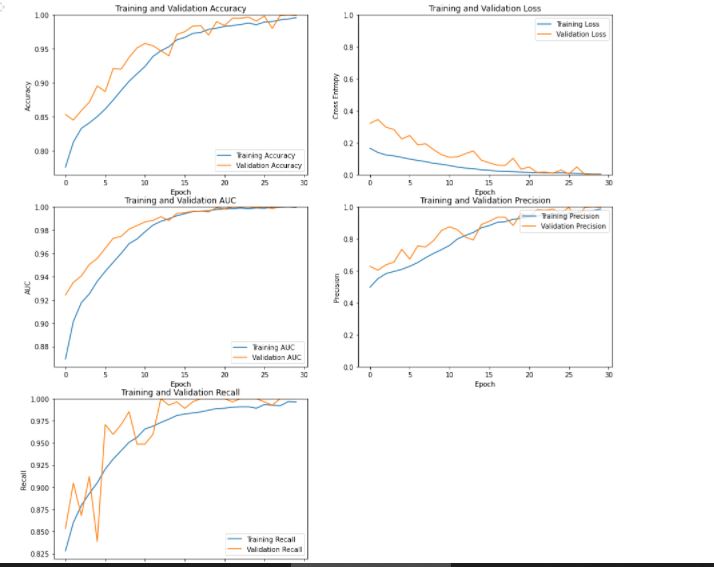 Classification Metrics