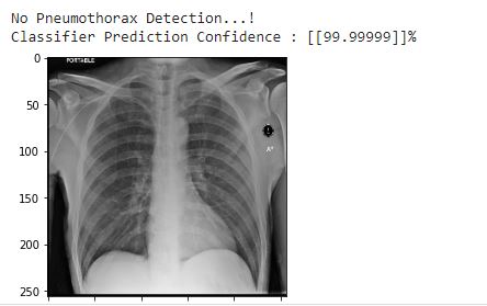 Final_Inference_Negative