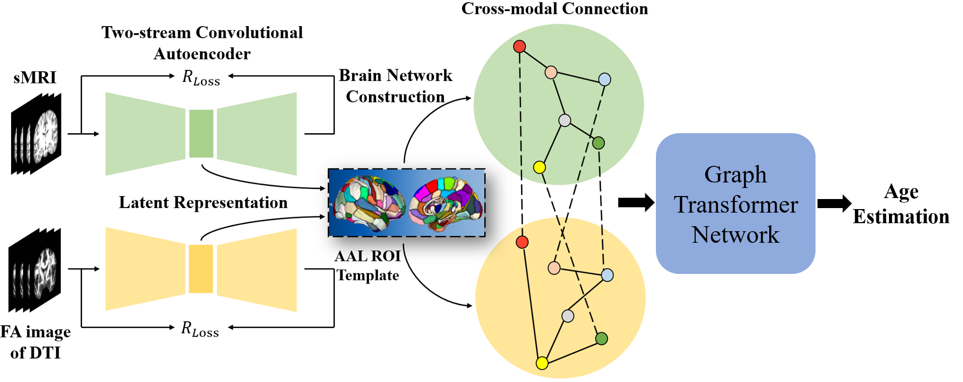 GitHub - Hongjie97/GraphTransformer_BrainAge