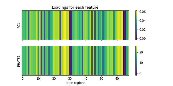 PC1_vs_PHATE1_loadings