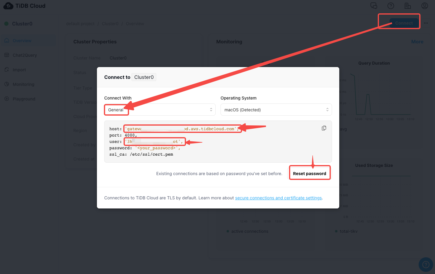 Get TiDB Connection Information