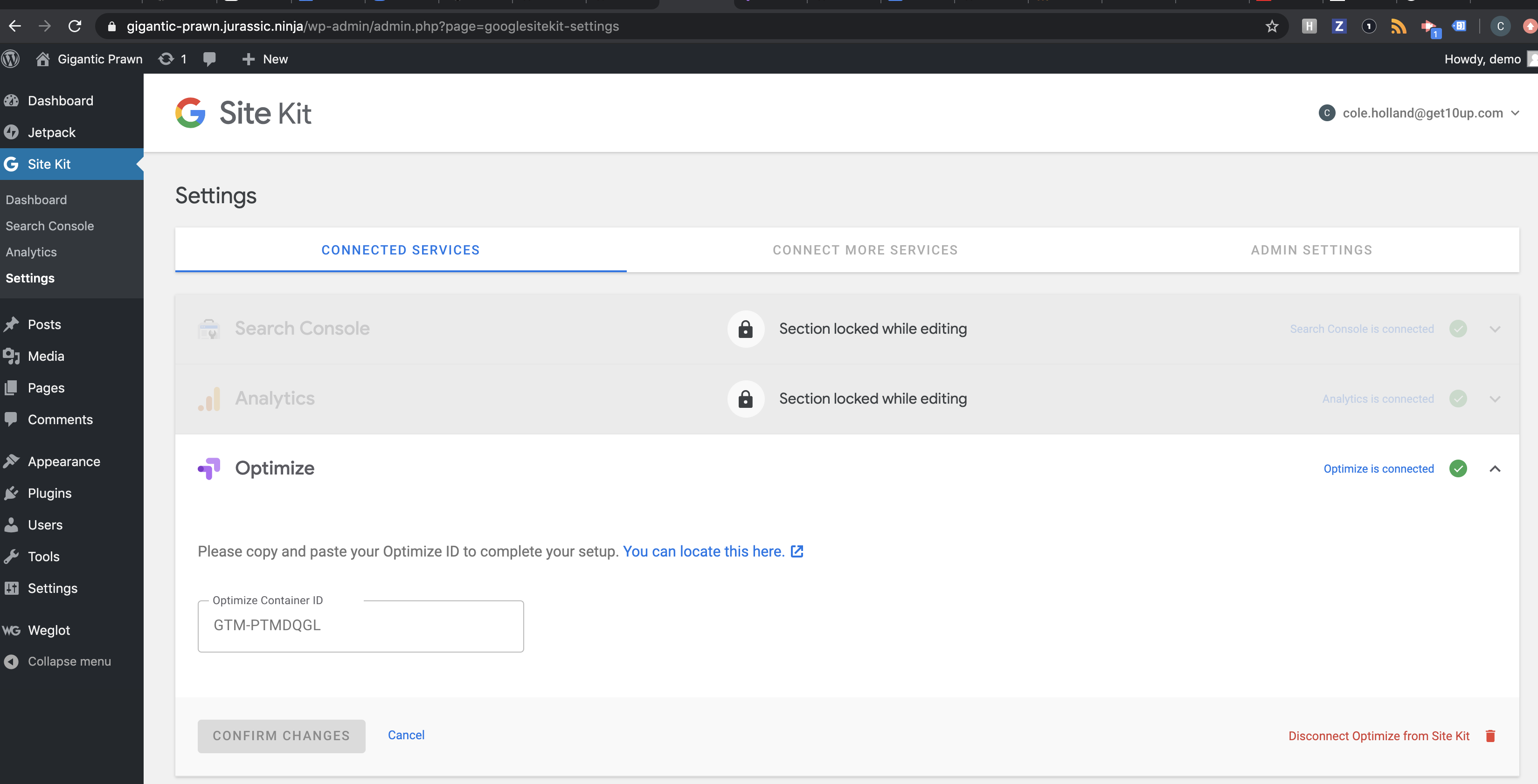 Update icon for Optimize · Issue #969 · google/site-kit-wp · GitHub