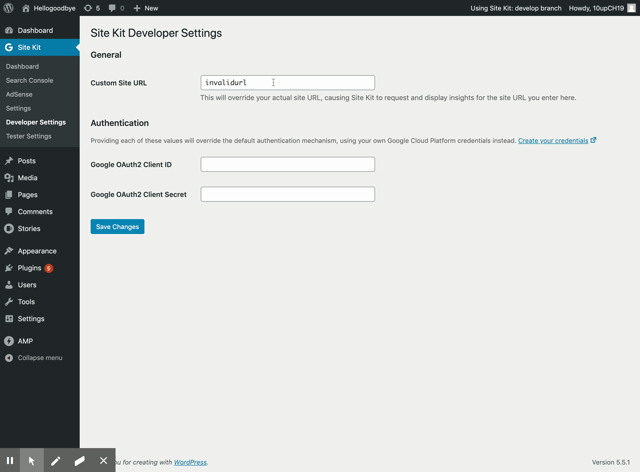 Site Kit Developer Settings ‹ Hellogoodbye — WordPress