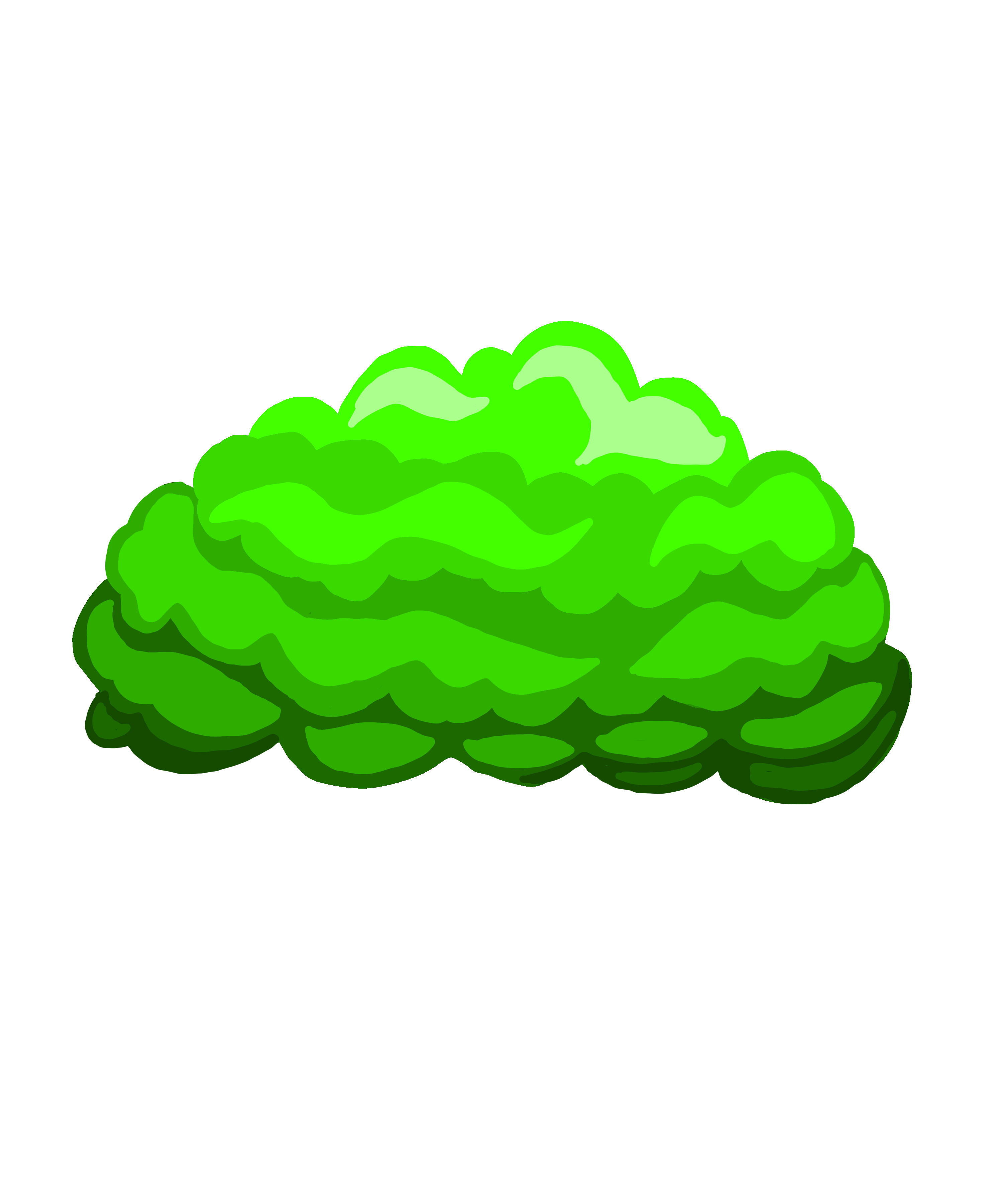 Bush
