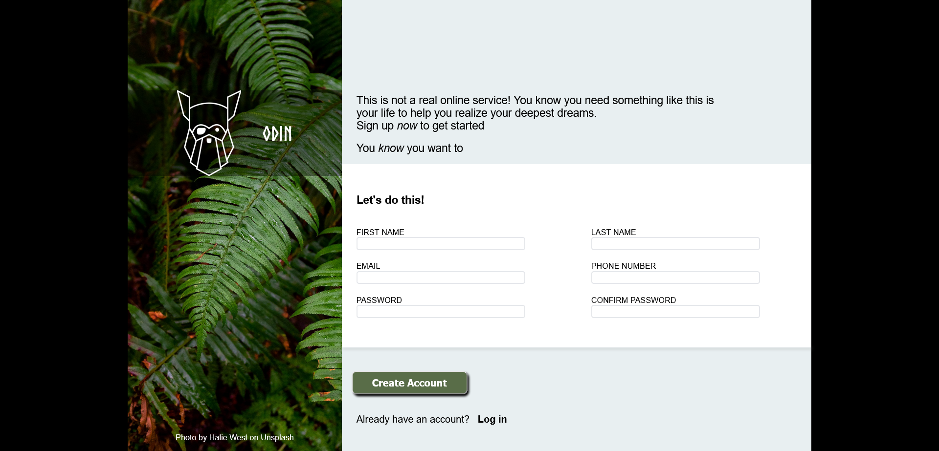 GitHub - GitHubBlues/TOP_html_css_projects: Thie repository bundles ...