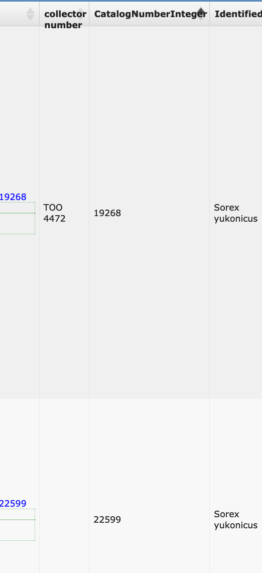 Screen Shot 2021-04-08 at 6 42 24 AM