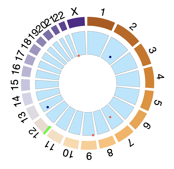 Screen Shot 2020-08-07 at 12 32 56 AM