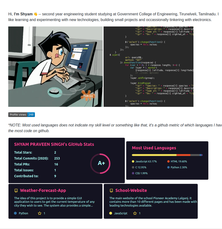 GitHub profile of {{ name }}