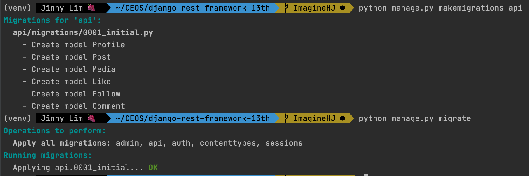 GitHub - ImagineHJ/Django_REST_API: Django 를 사용한 인스타그램 REST API 클론 코딩