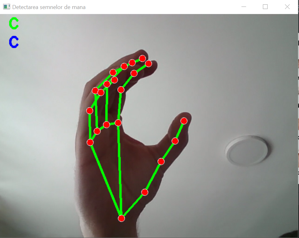GitHub - Asavei16/Sign_LanguageRecognition: The translation into words ...