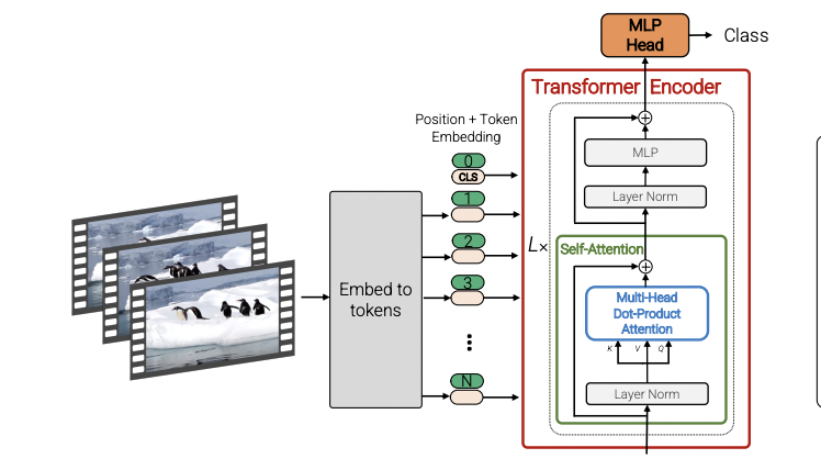 GitHub - sanjeevnara7/DL-ViViT-Tensorflow: This repo contains a minimal ...