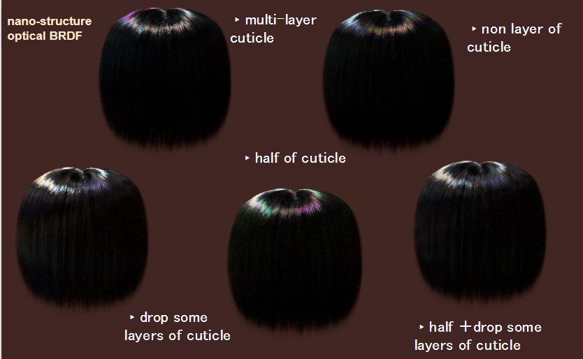 GitHub - masaya-dohino/Hair-rendering_NS-FDTD-BRDF_PBRT: Hair rendering ...