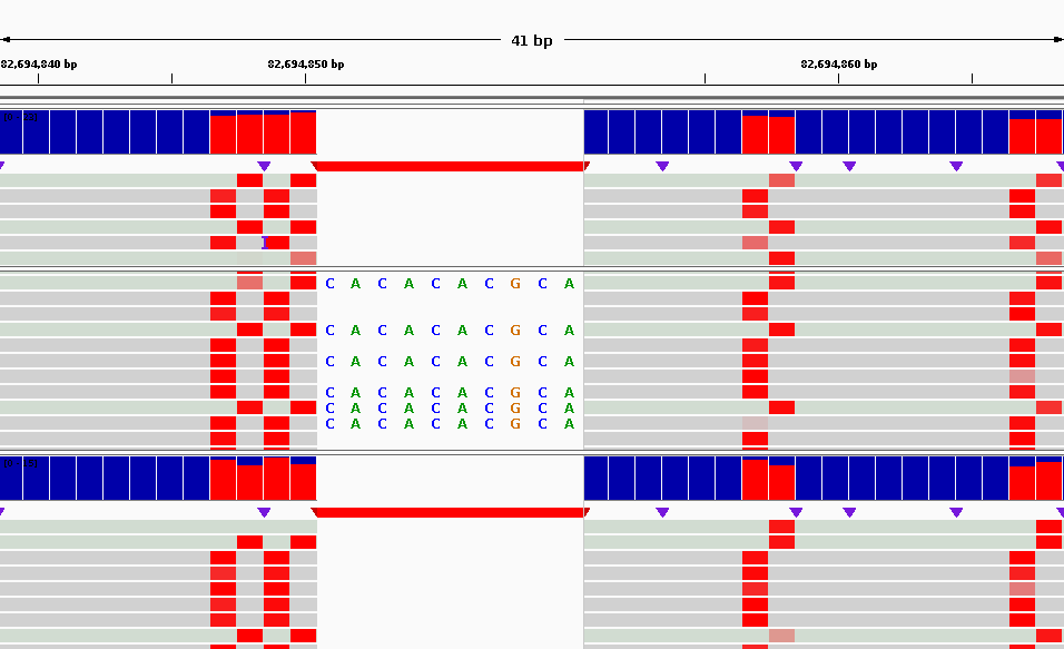 Would IGV show base modifications at insertions? · Issue #1303 ...