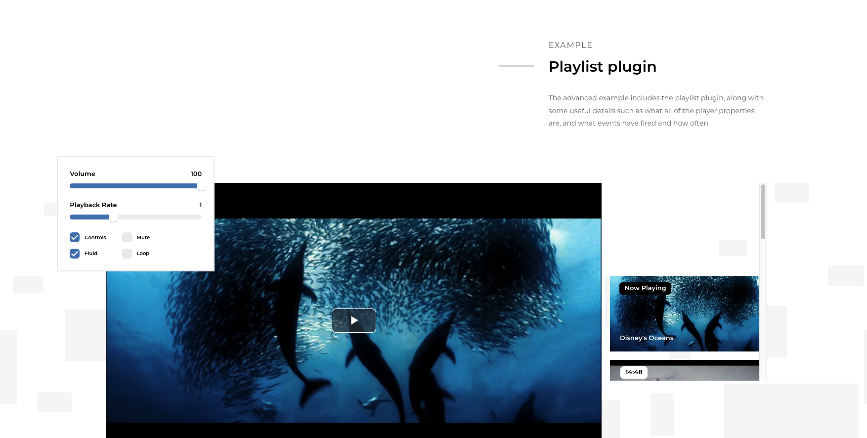 Small bug with checkboxes in the player controls · Issue 161 · videojs