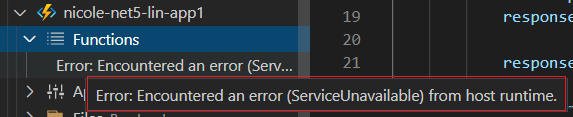 There is an error after creating a Linux Function App with .NET 5 and ...