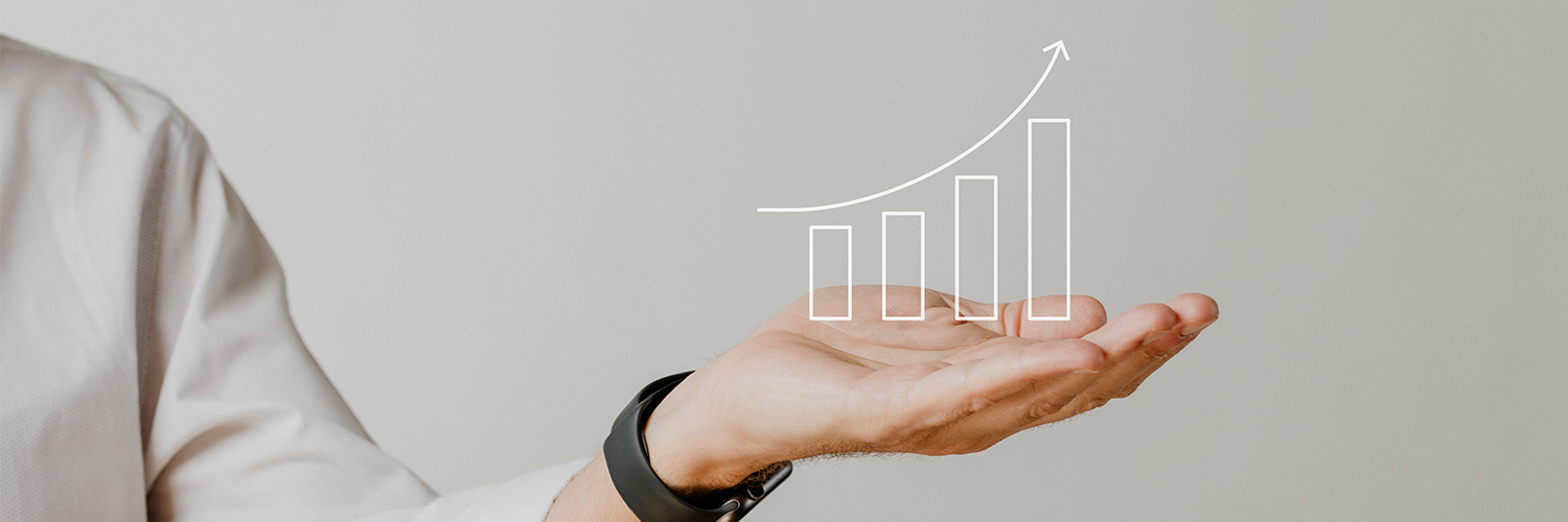 seo grafik artışı