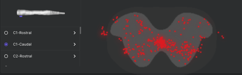 Screenshot 2022-06-15 at 09 23 30
