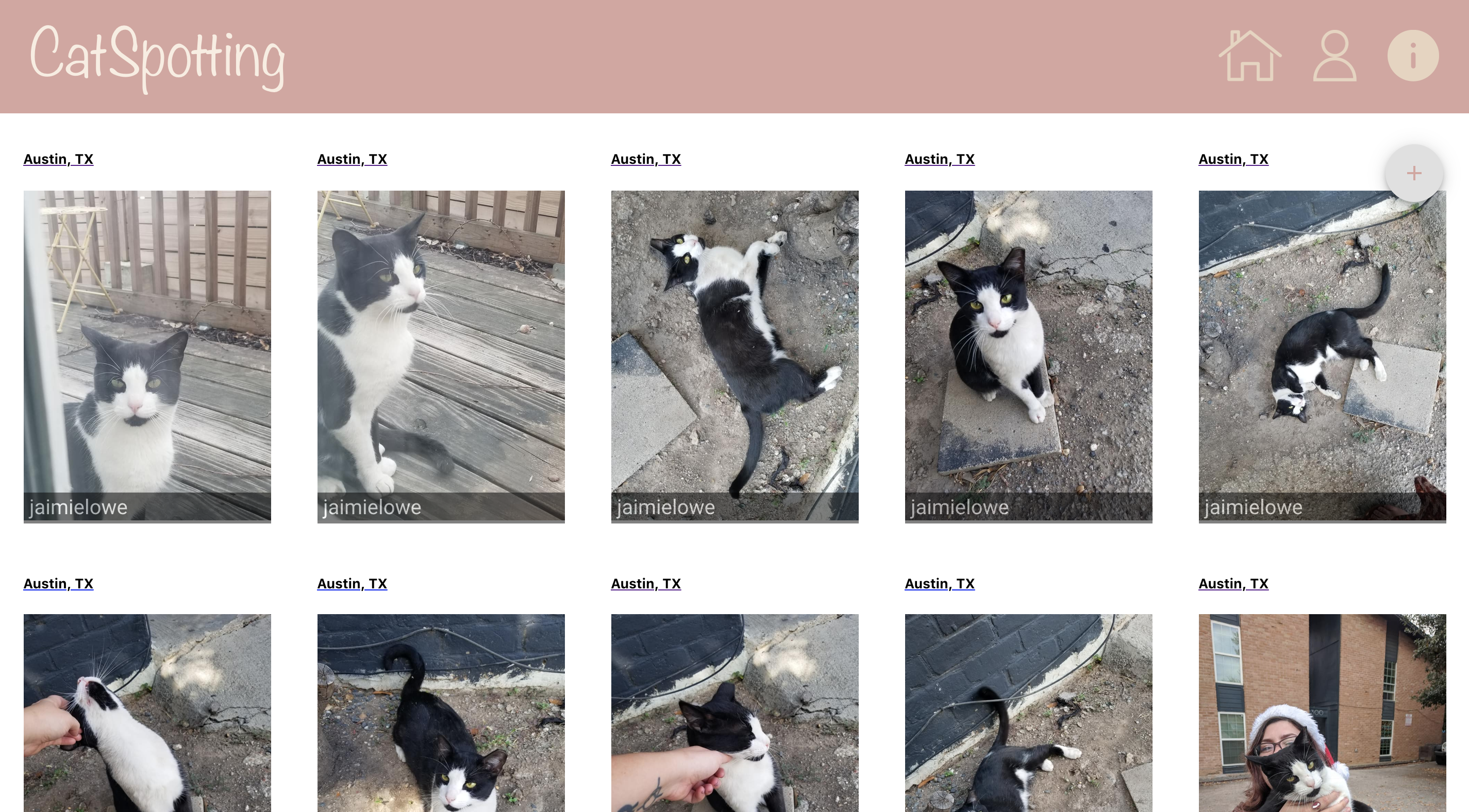 Screen Shot 2020-03-13 at 8 42 45 AM