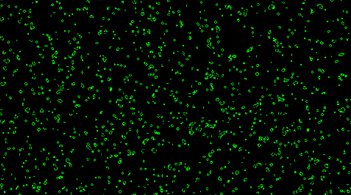 Animation