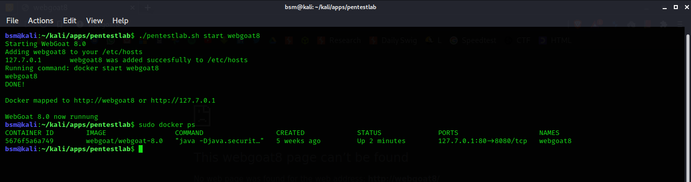 webgoat8 is not opening · Issue #10 · eystsen/pentestlab · GitHub