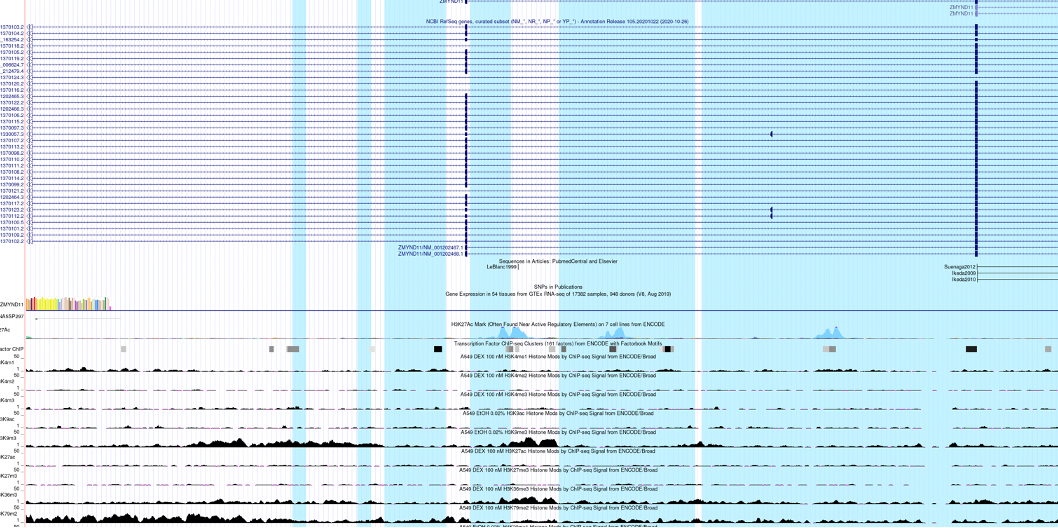 GitHub - apieceofwork/hse_hw3_chromhmm