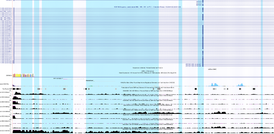 GitHub - apieceofwork/hse_hw3_chromhmm