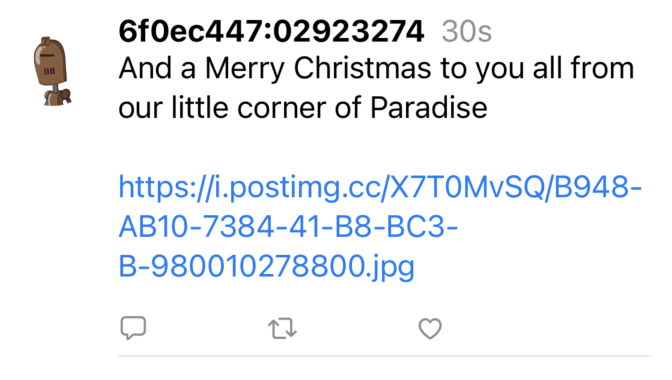 Screenshot 2022-12-24 at 9 55 23 AM