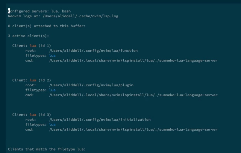 LspInfo inaccurate reporting attached buffer client details · Issue ...