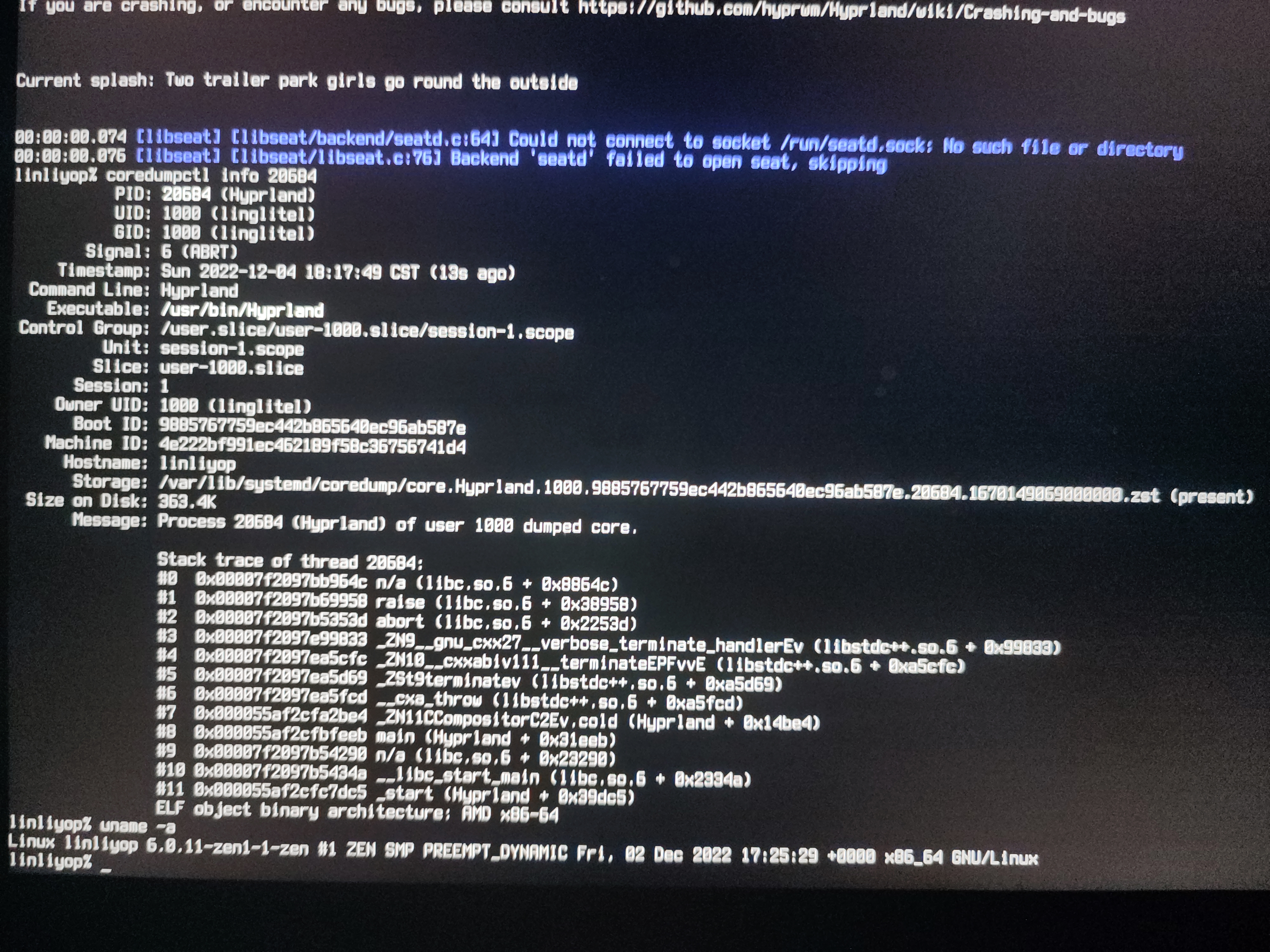 Crashes at launch on tty · Issue #1172 · hyprwm/Hyprland · GitHub