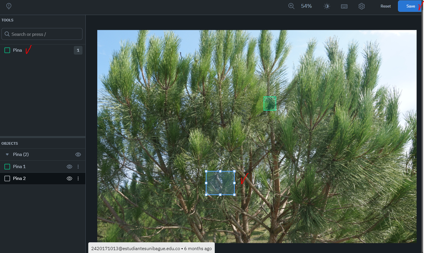 GitHub - Tesis-deteccion-y-conteo-de-pinas/Pine-Cone-Detection ...