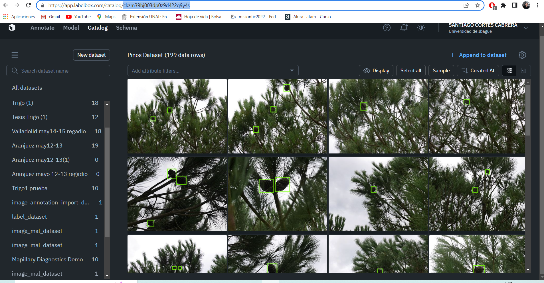 GitHub - Tesis-deteccion-y-conteo-de-pinas/Pine-Cone-Detection ...