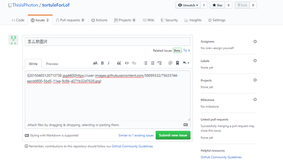 【教程】使用Github Issue放文和图 · Issue #6 · ThisIsPhoton/tortuleForLof · GitHub