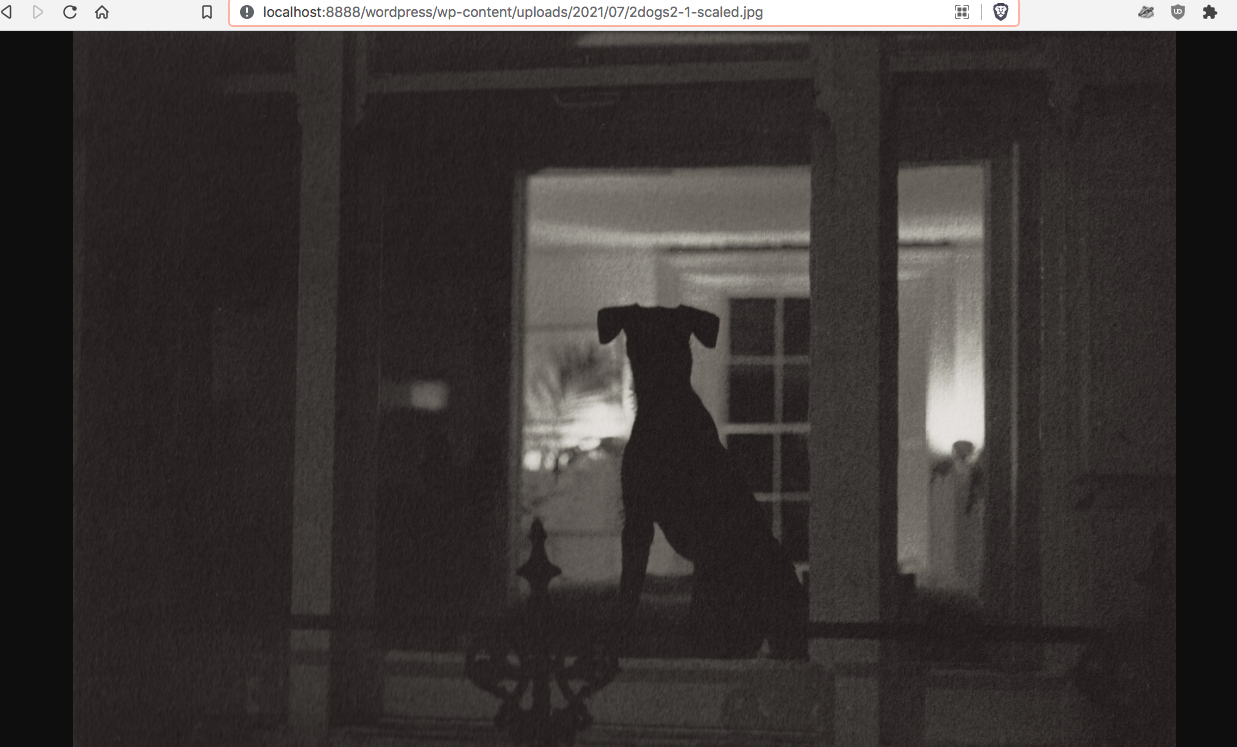 Screen Shot 2021-07-10 at 2 34 00 pm