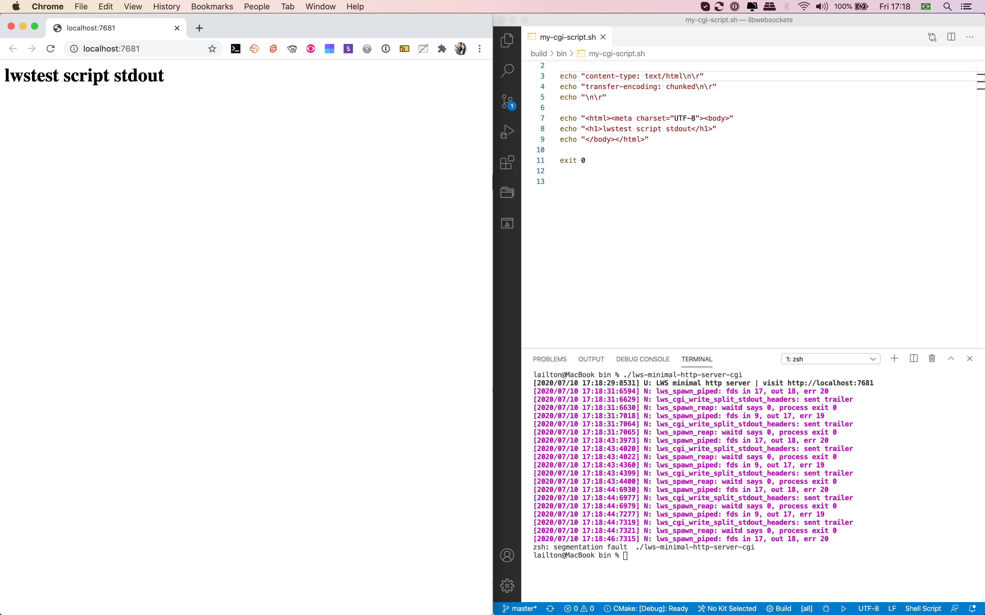 Example CGI not working. · Issue #1971 · warmcat/libwebsockets · GitHub