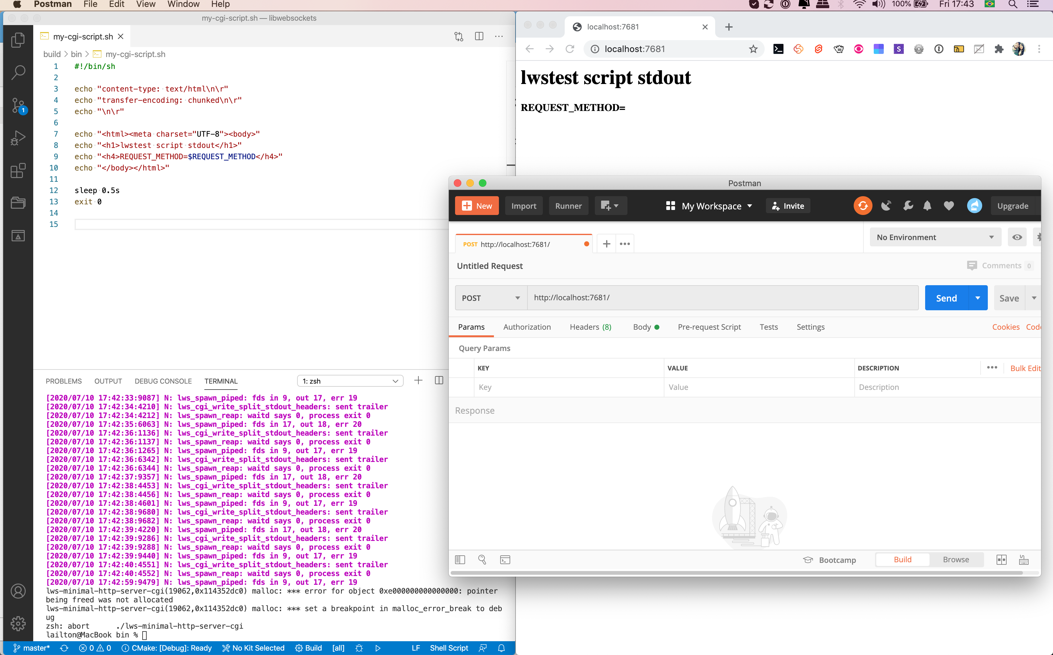 Example CGI not working. · Issue #1971 · warmcat/libwebsockets · GitHub