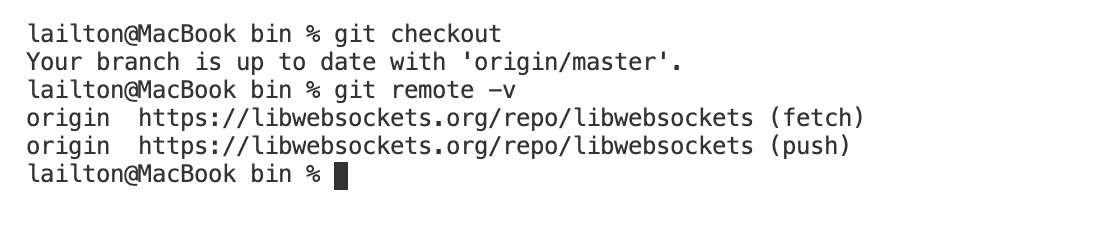 Example CGI not working. · Issue #1971 · warmcat/libwebsockets · GitHub