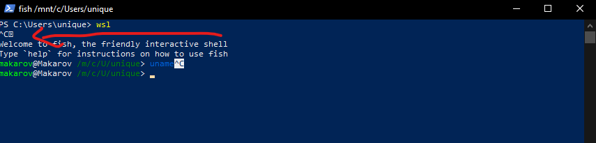 I need Ctrl + C to connect to my wsl · Issue #6608 · microsoft/WSL · GitHub
