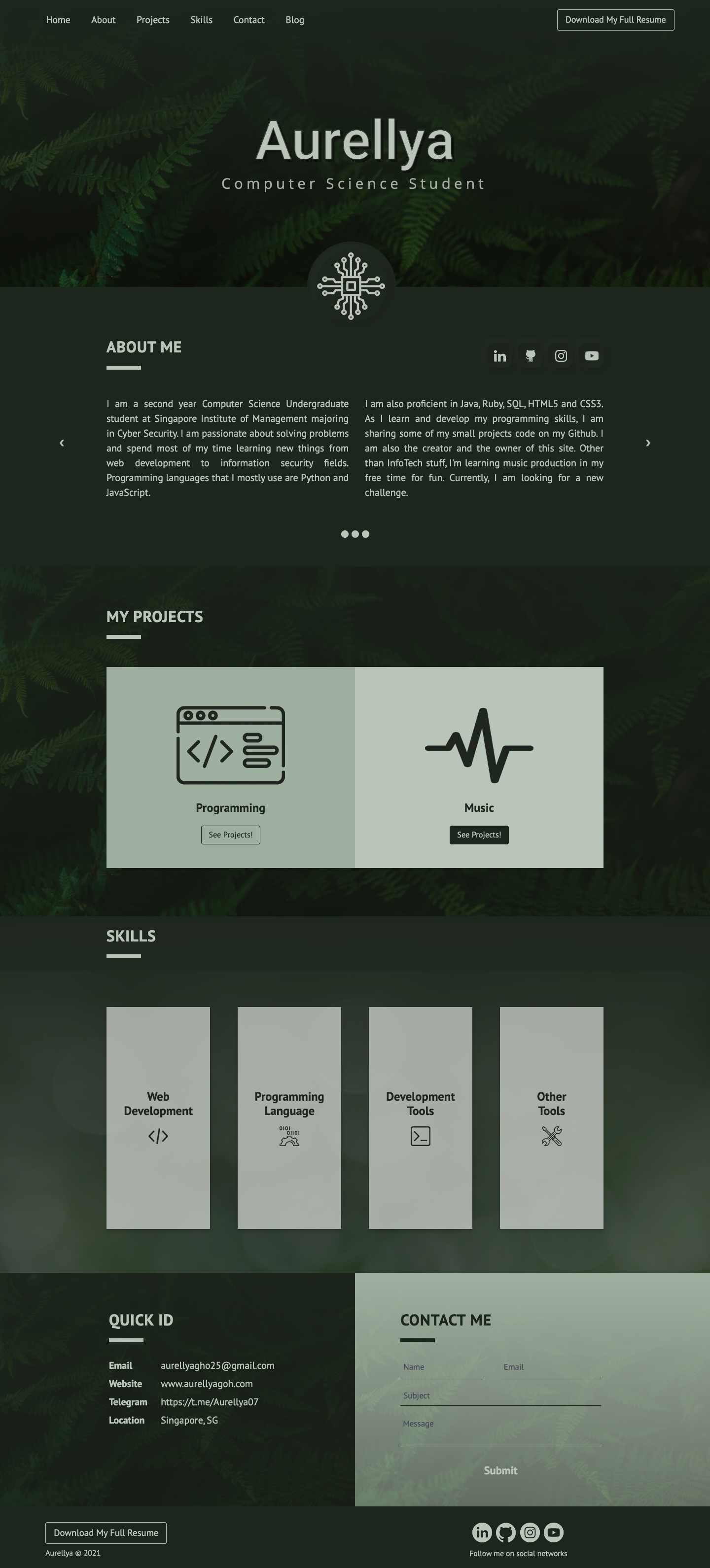 Previous personal portfolio website preview