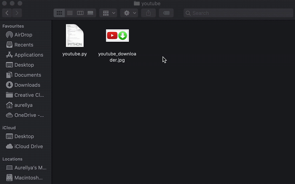 YouTube Video Downloader