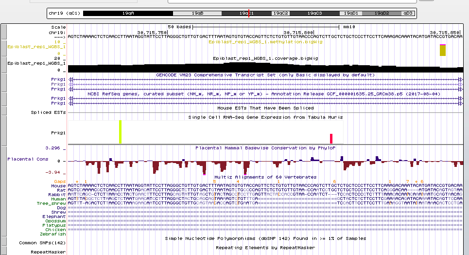 GitHub - Joseph-Luper-Tsenum/DNA-Methylation-Analysis-Transcriptomics ...