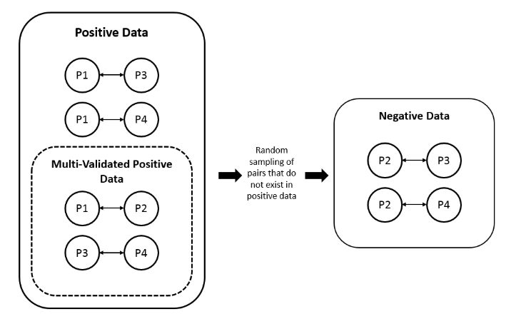 GitHub - larngroup/Agnostic_DL_Protein_Protein_Interaction: Dataset ...