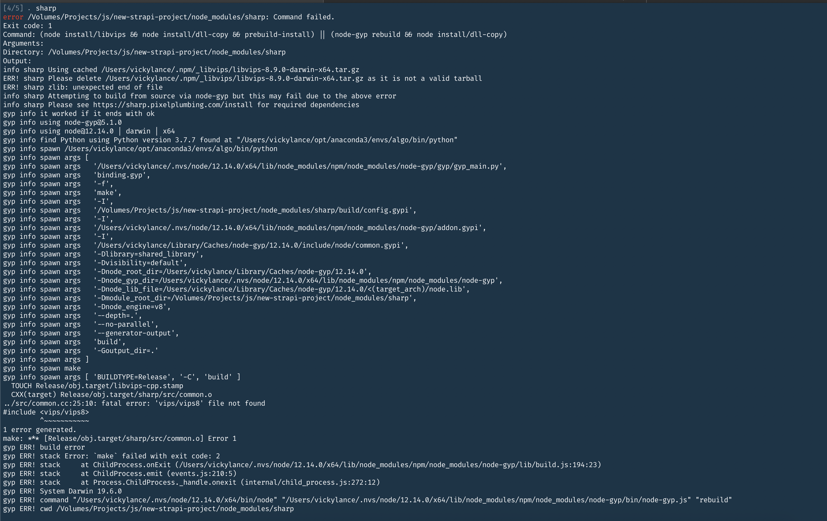 create project installation fail · Issue #7267 · strapi/strapi · GitHub