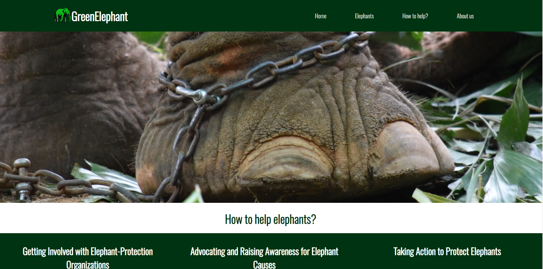 GitHub - nikolaychv/Green-Elephant: Animal protection website