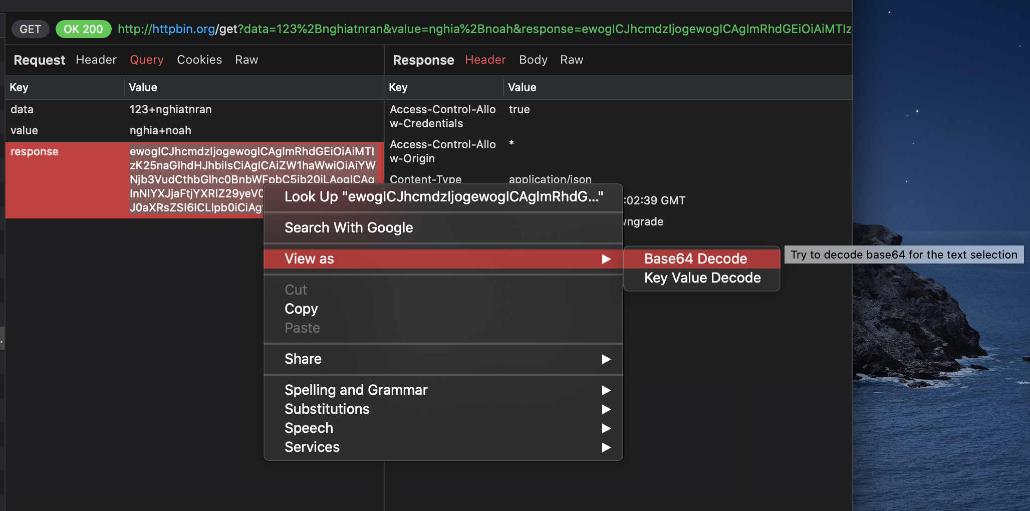 proxyman_ssl_debugging