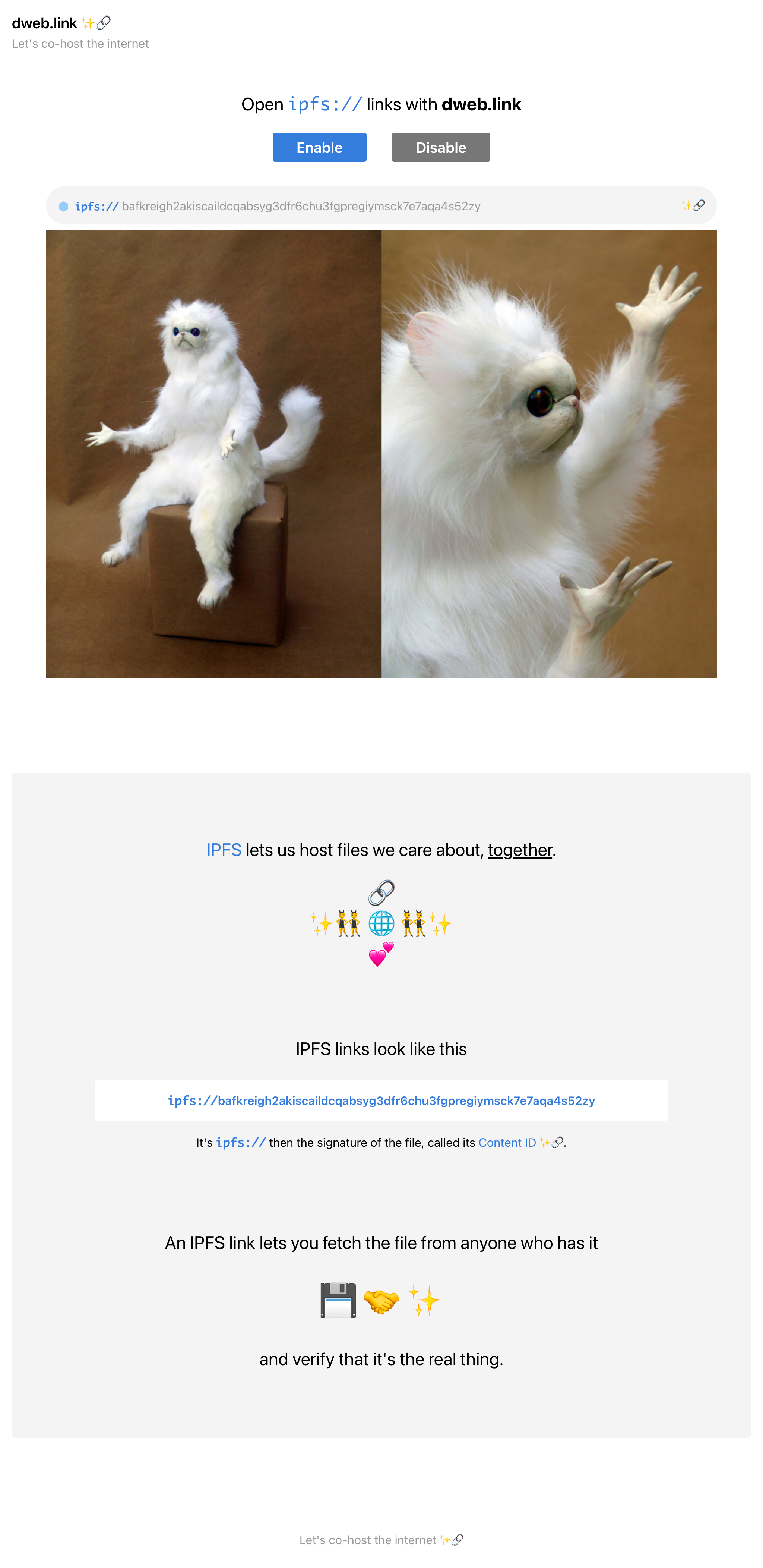 localhost_3000_(iPad Pro) (1)